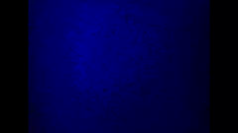 kathy online show from March 2025 10:21:02 PM