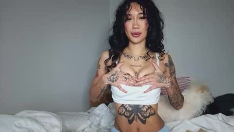 katiecai online show from April 2026 08:14:01 PM