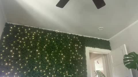 Kate online show from December 2024 04:40:01 PM