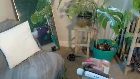 Kate online show from October 2025 12:11:01 PM