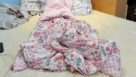 Miss Katie online show from February 2026 10:56:02 AM