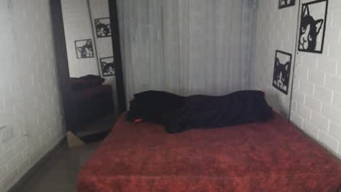 kattia online show from February 2025 12:40:02 AM