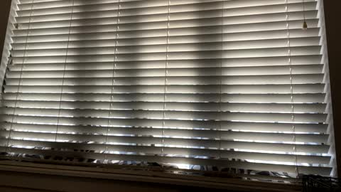 keepquietj online show from February 2025 09:48:01 PM