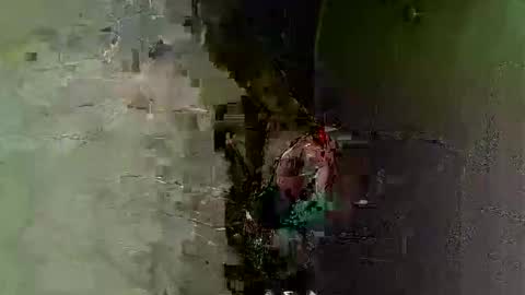 keipi online show from December 2024 12:08:01 AM