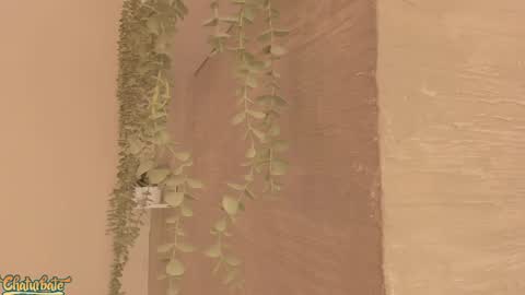 keirahartz online show from April 2026 12:28:02 PM