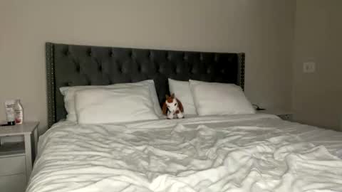 Snapshot of kekeoutlaw chatting on February 2026 02:57:02 PM Kekeoutlaw online show from February 2026 02:57:02 PM