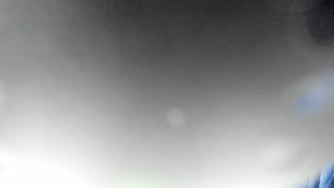 Snapshot of kelly_adams19 chatting on March 2026 02:17:01 PM kelly online show from March 2026 02:17:01 PM