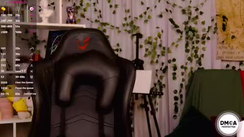 Kelly online show from February 2026 03:08:01 PM