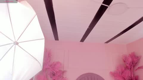 kendallbleer online show from November 2025 11:10:01 AM