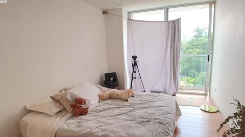 kendall online show from March 2026 04:01:02 PM