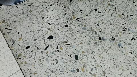 Kendra London online show from April 2026 11:59:01 AM