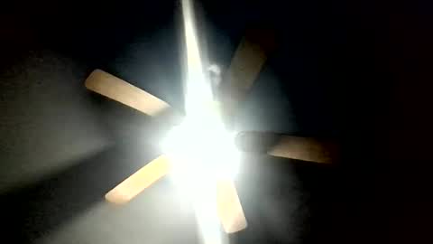 kendreko049946904 online show from March 2026 06:30:01 AM