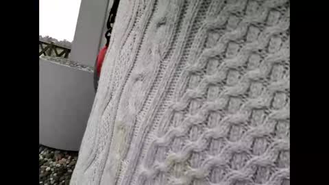 Snapshot of kenhiking chatting on February 2026 05:25:02 AM kenhiking online show from February 2026 05:25:02 AM