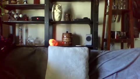 Snapshot of kenkuddles chatting on January 2025 10:12:01 PM Ken Kuddles online show from January 2025 10:12:01 PM