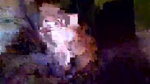 Khristopher Davis online show from October 2025 03:18:02 AM