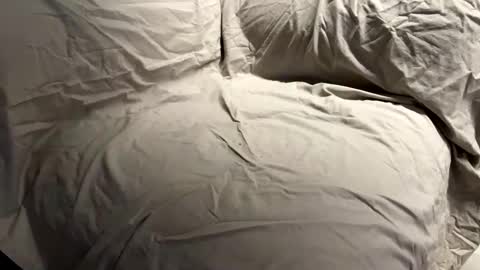 kiiisssa online show from October 2025 07:12:01 PM