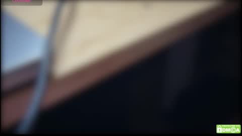 kik online show from February 2026 05:03:02 PM