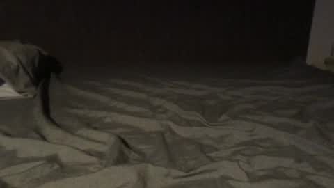 Snapshot of kiki3526 chatting on July 2026 11:20:01 PM kiki3526 online show from July 2026 11:20:01 PM
