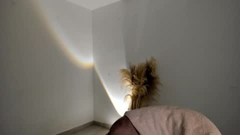 Kim Murphy online show from November 2025 12:31:02 PM