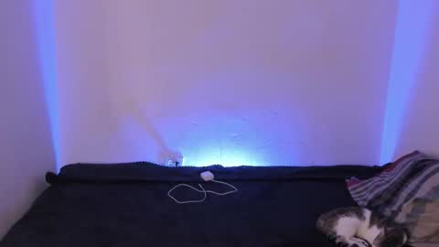 Kim online show from December 2025 09:47:02 AM