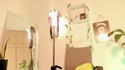 Kimm online show from January 2025 07:38:01 AM