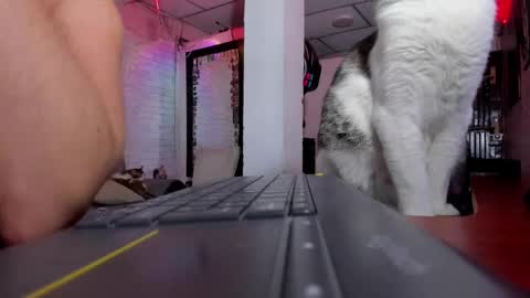 Melany online show from February 2025 12:51:01 AM