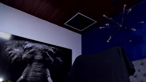 Angel Falconer online show from January 2026 04:05:02 AM