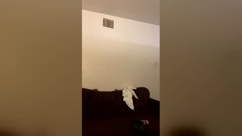 kingecstasyxxxddd online show from March 2026 03:56:01 AM