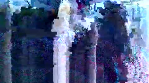 Snapshot of kinkygurl6969ts chatting on February 2025 07:42:02 PM KinkySlut4Fun online show from February 2025 07:42:02 PM