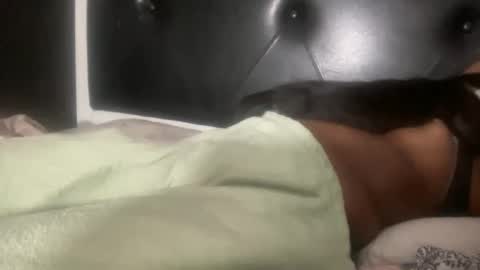 Bunniii online show from February 2025 05:40:01 AM