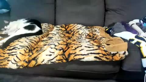 Kinky online show from February 2025 06:17:01 PM