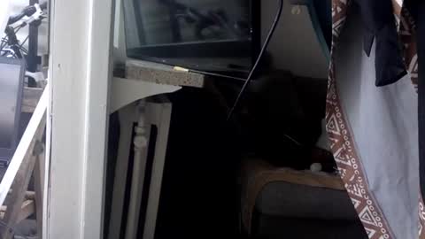 Snapshot of kinkysecretdesire chatting on May 2026 03:30:02 PM Kinky Himeros online show from May 2026 03:30:02 PM