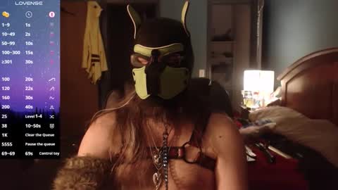 Snapshot of kinkywolf87 chatting on March 2026 12:49:02 AM kinkywolf87 online show from March 2026 12:49:02 AM