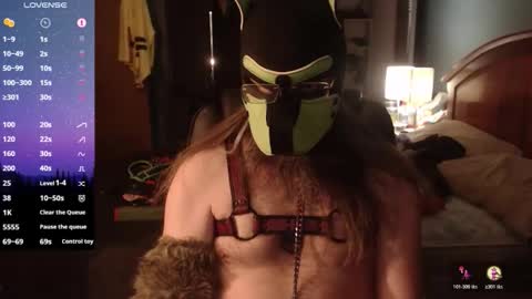 kinkywolf87 online show from April 2026 06:33:02 AM