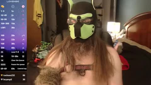 kinkywolf87 online show from May 2026 11:00:01 PM