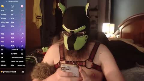kinkywolf87 online show from June 2026 11:49:02 PM