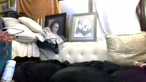 Kishan2525 online show from March 2026 09:06:02 AM