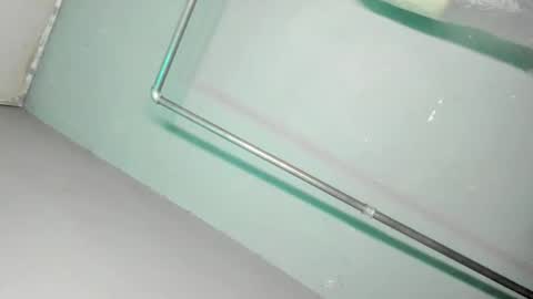 Snapshot of kittylickerfucker69 chatting on November 2025 09:45:01 AM Grace online show from November 2025 09:45:01 AM