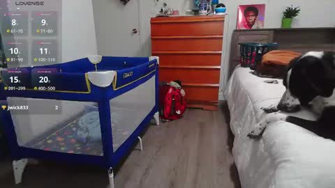 Kittyymaze online show from January 2025 02:28:01 PM