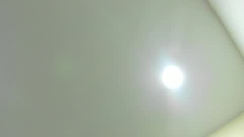 Kiwi online show from February 2026 12:08:01 PM