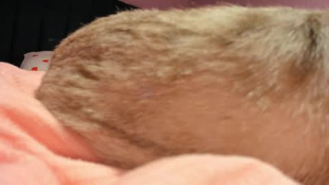 Yuna online show from April 2026 06:10:01 PM