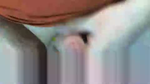 klok8230 online show from February 2026 08:27:01 PM