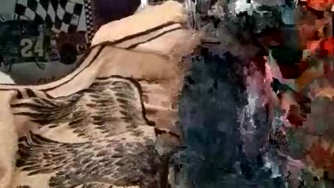 Snapshot of knock2wice1975 chatting on January 2025 07:17:02 AM knock2wice1975 online show from January 2025 07:17:02 AM