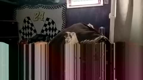 Snapshot of knock2wice1975 chatting on January 2025 04:32:01 AM knock2wice1975 online show from January 2025 04:32:01 AM