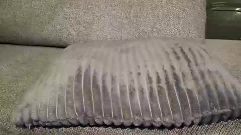 koelie1982 online show from January 2025 01:10:01 AM