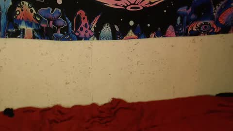 konekokawai online show from February 2025 01:41:01 AM