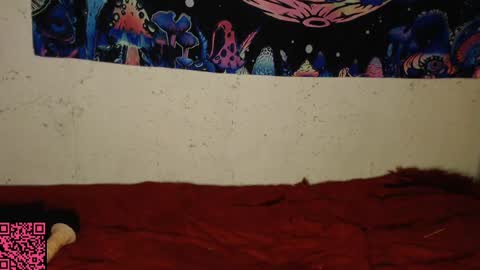 konekokawai online show from February 2025 11:15:01 PM