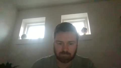 kongs3 online show from December 2024 01:49:02 PM