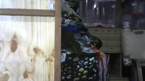 krishasweet online show from December 2024 03:58:01 PM