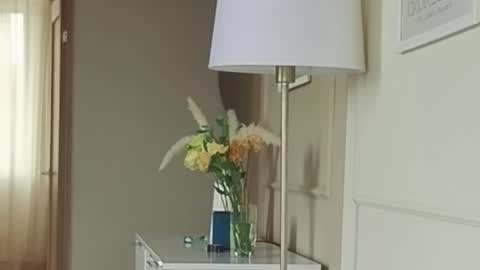 Snapshot of kristinedean chatting on September 2025 05:18:02 AM Kristi online show from September 2025 05:18:02 AM